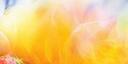 Discovery splash banner for Addison Rae Discord server