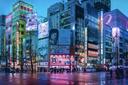 Discovery splash banner for NightEden: 秋葉原 /akiba Discord server