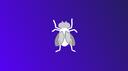 Discovery splash banner for The Flying Tech Discord server