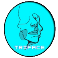 Discovery icon for 〴Triface Community Discord server
