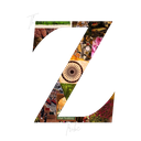 Discovery icon for 𝗧𝗵𝗲 𝗭 𝗧𝗿𝗶𝗯𝗲 Discord server