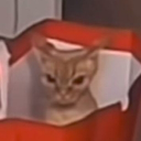 Discovery icon for Starred mods Discord server