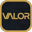 Discovery icon for < VALOR > Discord server