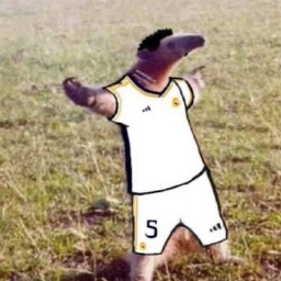 Discovery icon for Belligol Scrims Brazil Discord server