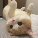 Discovery icon for Ask to DM Lounge đș| Gamingă»Socială»YouTubeă»Hangoută»Cozyă»Emojisă»Fună»Voiceă»Chats Discord server